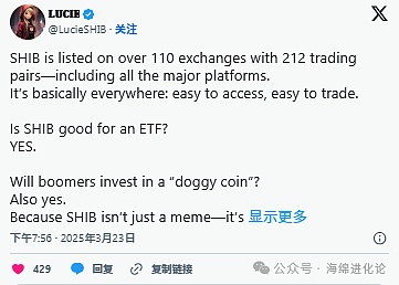 IC Ghost：当MEME币遇上社区自治，ICP生态能否借此翻身？