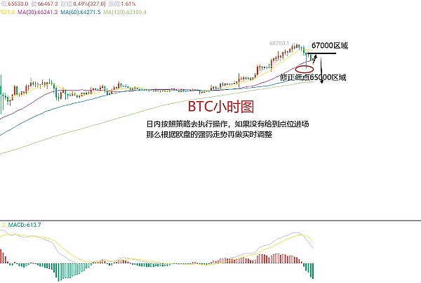 2025年金融大战：草根散户能否掀翻华尔街巨鳄？