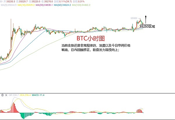 新视界XSL：一个让你赚钱的惊喜发现