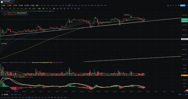 比特币王者归来：当龙头起舞时，这些小币种竟如此疯狂！