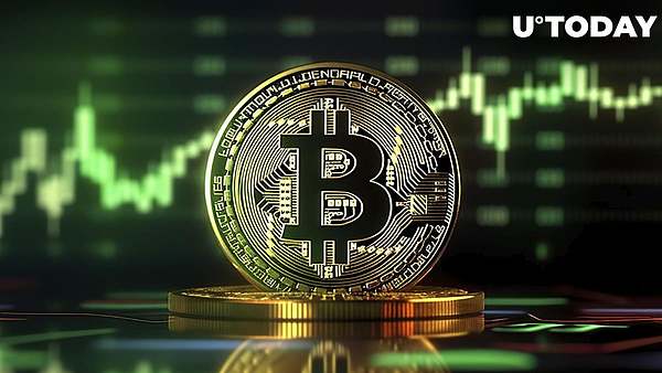 重磅来袭！《王者争霸》玩法全解析，一场前所未有的数字狂欢