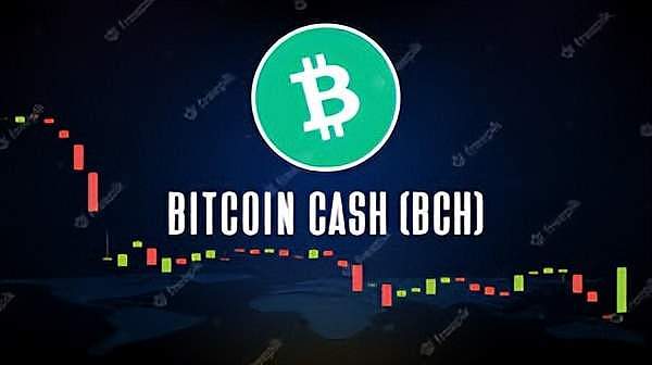 IMX惊现巨鲸疯狂吸筹！1800万美元的神秘买单引爆加密圈